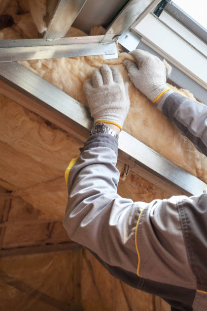 Best Commercial Insulation in Daisetta, TX