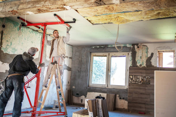 Best Insulation Maintenance and Repair in Daisetta, TX